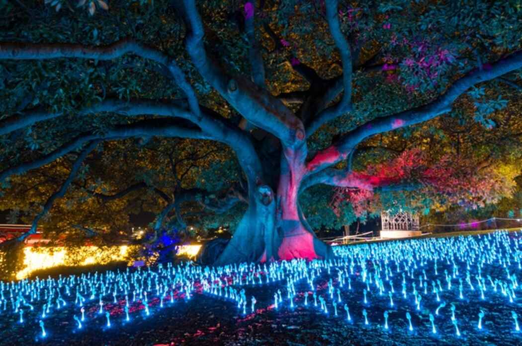 Nurturing Social Cohesion Through Public Festivals